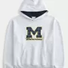 University of Michigan Wolverines Graphic Hoodie,University of Michigan Wolverines Graphic Hoodie
